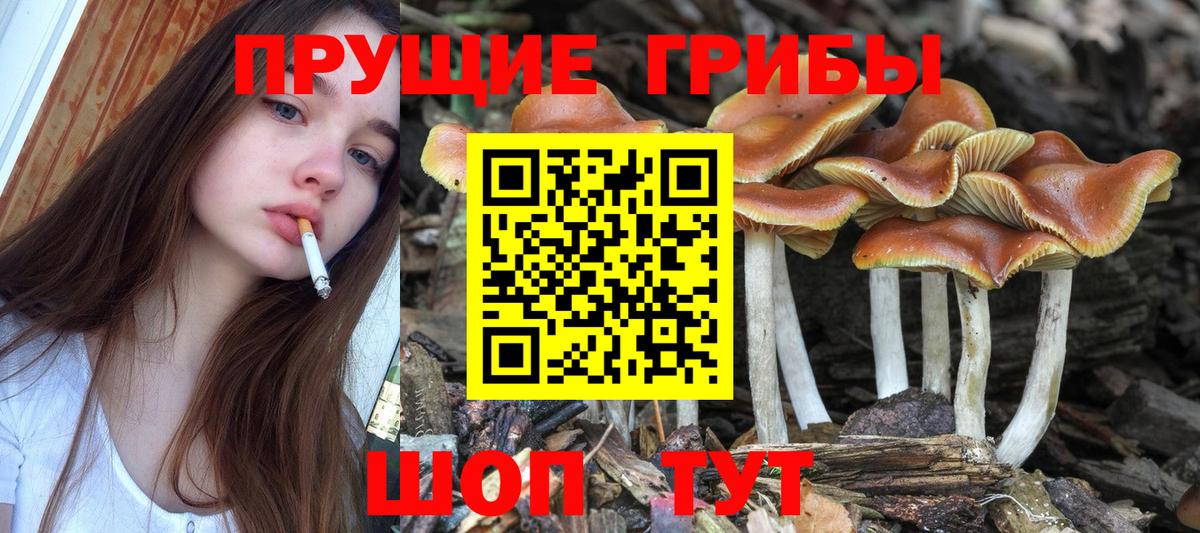 наркотики  Псилоцибиновые грибы GOLDEN TEACHER  Вход с VPN  Якутск 